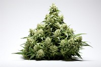 Cannabis narcotic plant leaf. AI generated Image by rawpixel.