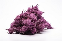 Purple cannabis narcotic plant. AI generated Image by rawpixel.