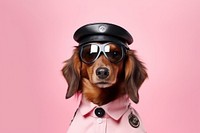 Glasses animal mammal dog. AI generated Image by rawpixel.