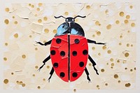 Art ladybug animal creativity. 