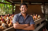 Chicken agriculture portrait organic. 