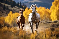 Horse outdoors mammal animal. AI generated Image by rawpixel.