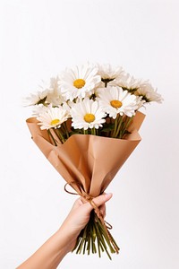 Daisy holding flower petal. 