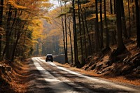 Road outdoors vehicle nature. 