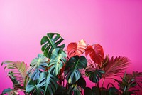 Flower plant leaf pink. AI generated Image by rawpixel.