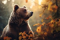 Autumn bear wildlife mammal. AI generated Image by rawpixel.