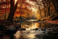 Autumn landscape outdoors scenery. 