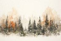 Forest land fir backgrounds. 