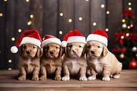 Puppy decoration christmas mammal. AI generated Image by rawpixel.