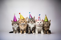 Mammal animal kitten party. AI generated Image by rawpixel.