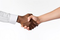 Hand handshake white background togetherness. 