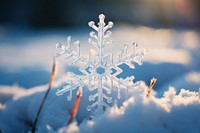 Snowflake christmas outdoors nature. AI generated Image by rawpixel.