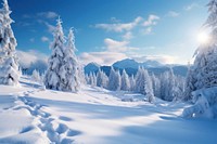 Landscape nature snow panoramic. 