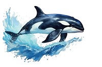 Dolphin animal mammal whale. AI generated Image by rawpixel.