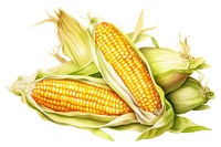 Plant corn food ingredient. AI generated Image by rawpixel.