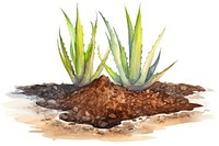 Aloe soil plant xanthorrhoeaceae. AI generated Image by rawpixel.