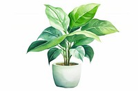 Plant herbs leaf vase. AI generated Image by rawpixel.
