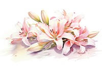 Petal lily blossom flower. AI generated Image by rawpixel.