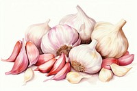 Garlic vegetable plant food. 