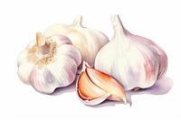 Garlic vegetable plant food. 