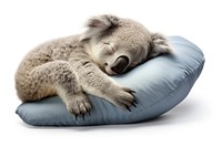 Koala sleeping mammal animal. AI generated Image by rawpixel.