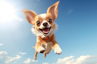 Chihuahua dog outdoors smiling. AI generated Image by rawpixel.