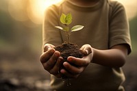 Nature plant planting outdoors. 