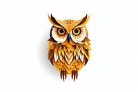 Owl animal bird white background. 