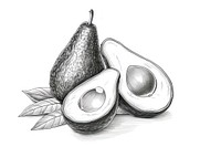 Sketch drawing avocado fruit. AI generated Image by rawpixel.