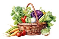 Vegetable basket plant food. 