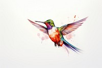 Hummingbird cartoon animal flying. 