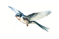 Cartoon swallow animal flying. 