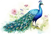 Peacock cartoon animal bird. 