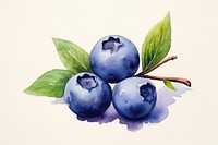 Blueberry fruit plant food. 