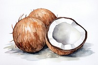 Coconut food freshness eggshell. AI generated Image by rawpixel.