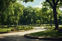 Park tree outdoors woodland. 