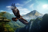 Flying mountain outdoors vulture. AI generated Image by rawpixel.