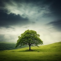 Green tree landscape grassland. AI generated Image by rawpixel.