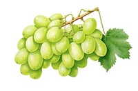 Grapes fruit plant green. AI generated Image by rawpixel.