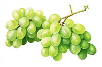 Grapes plant green food. AI generated Image by rawpixel.