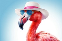 Flamingo sunglasses wildlife animal. 