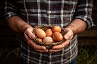 Egg farmer adult food. 