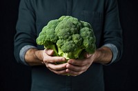 Broccoli vegetable adult plant. 