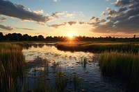 Nature landscape outdoors sunset. 