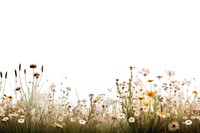 Meadow grassland outdoors blossom. AI generated Image by rawpixel.