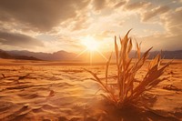 Desert landscape outdoors horizon. 