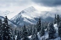 Mountain snow tree landscape. 