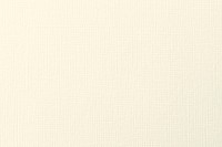 Cream textured background vintage illustration