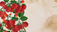 Raspberry branch border, desktop wallpaper