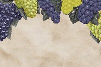 Grape and leaves border, vintage illustration